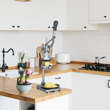 Juicer manual stainless steel