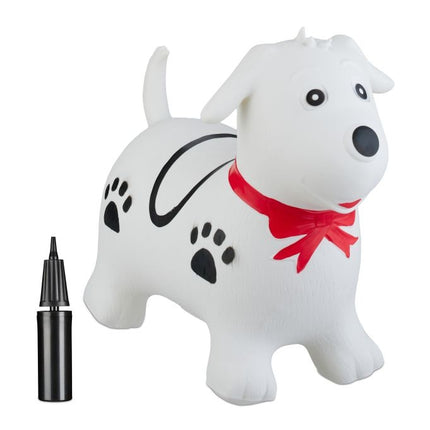 Jumping dog with leash