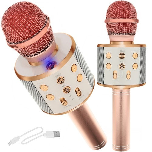 Karaoke-Mikrofon - hellrosa Izoxis 22190 