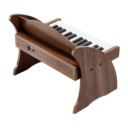 Kids Piano Keyboard, 25-Key Wooden, USB-C Dual Power