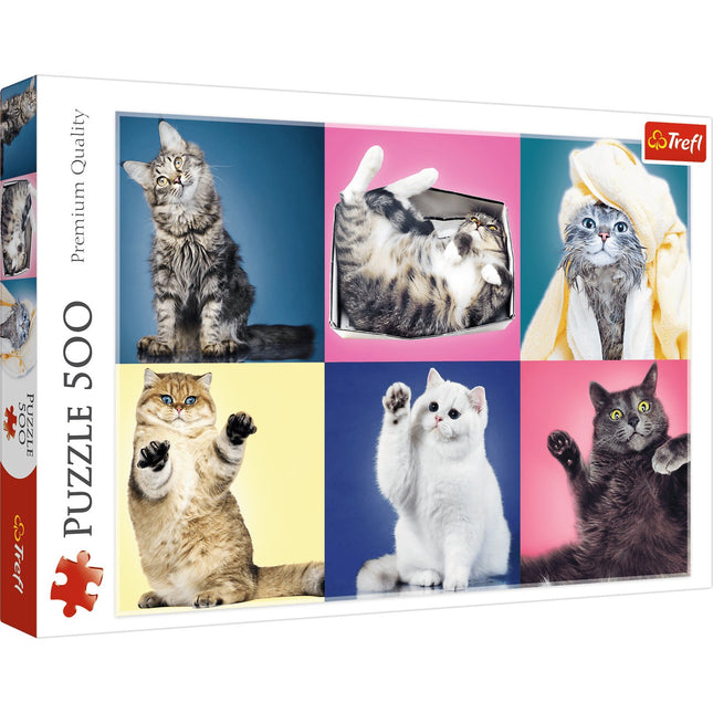 Kätzchen 500-Teile Puzzle für Kinder und Erwachsene