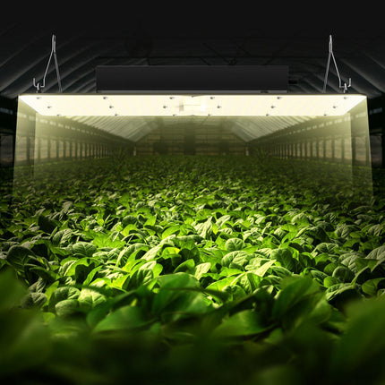 LED Grow Light 300W Full Spectrum Dimmable, Daisy Chain