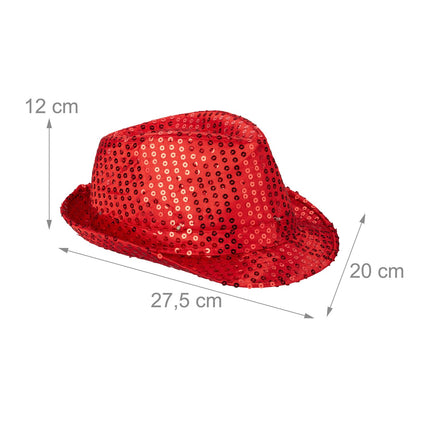 LED hat with sequins