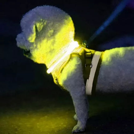 LED light-adjustable collar Purlov 21631