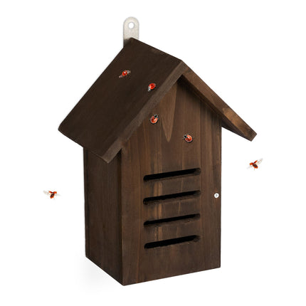 Ladybug house in brown wood