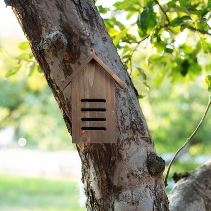 Ladybug house in brown wood