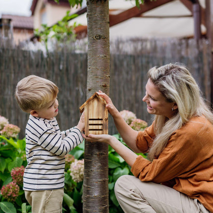 Marienkäferhaus aus geflammter Fichte