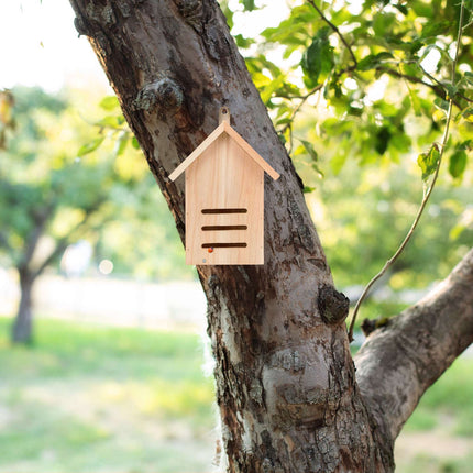 Ladybug house made of spruce