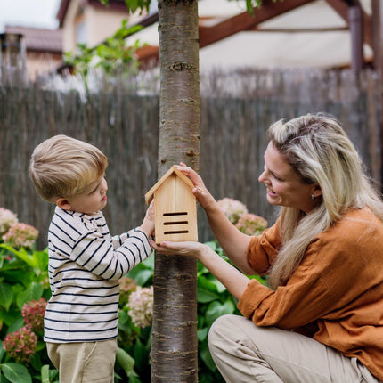 Ladybug house made of spruce