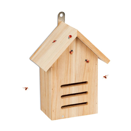 Ladybug house made of spruce