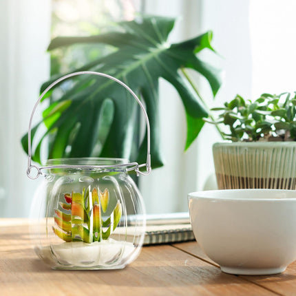 Lantern glass set of 12
