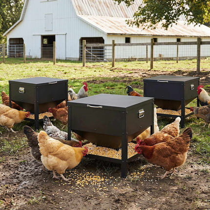 Large Capacity Black Chicken Feeder, Galvanized Metal