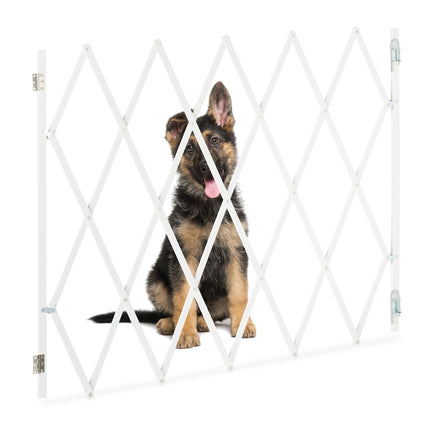Große Hundebarriere, Naturbambus
