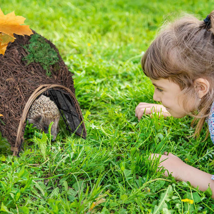 Large hedgehog house made of straw