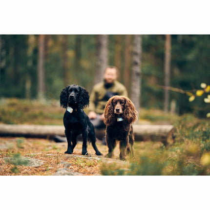 Lildog 2 GPS-Tracker für Hunde