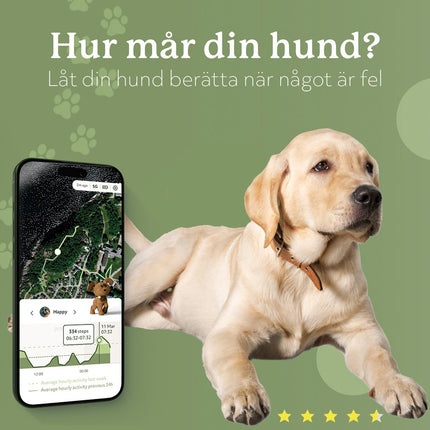 Lildog 2 GPS-Tracker für Hunde