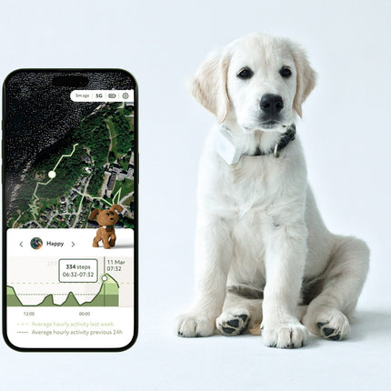 Lildog 2 GPS-Tracker für Hunde