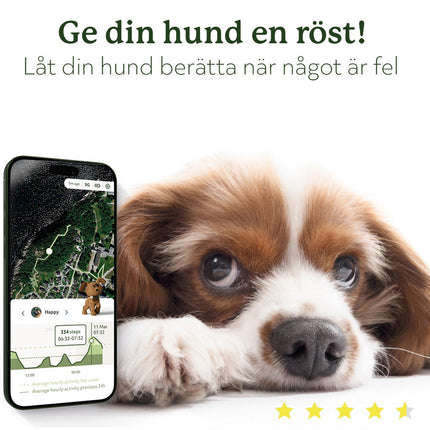 Lildog 2 GPS-Tracker für Hunde