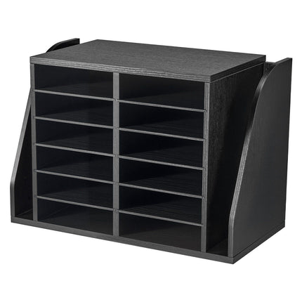 Literature Organizer, 12 Compartments, Side File Slots, Black