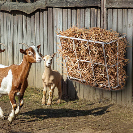Livestock Hay Feeder 18.5 gal, Heavy-Duty Steel, Wall Mounted