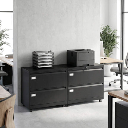 Lockable File Cabinet with 2 Drawers, Adjustable Rails, Black