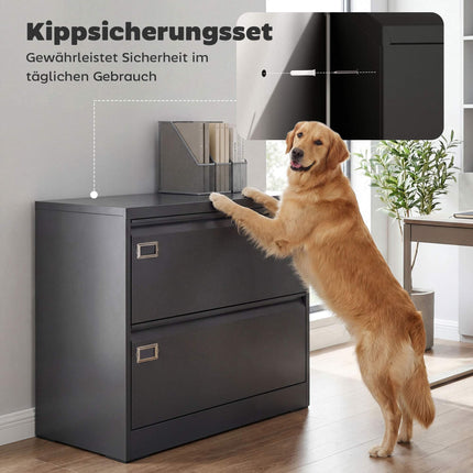 Lockable File Cabinet with 2 Drawers, Adjustable Rails, Black