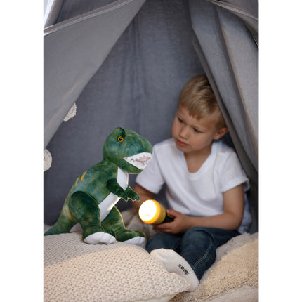 Svítící dinosaurus, zelená