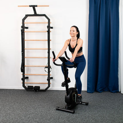 Magnetic Stationary Bike, Adjustable Resistance, Black