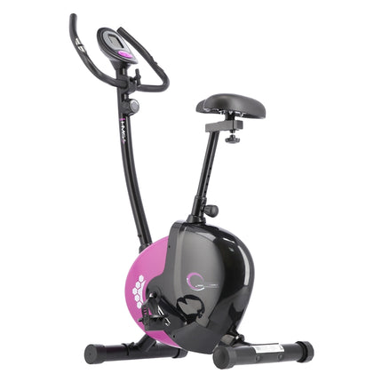 Magnetic Stationary Bike, Black/Purple