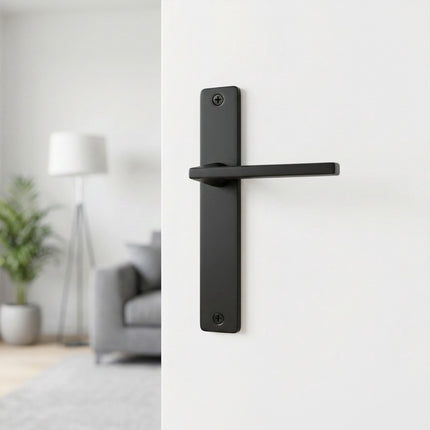 Matt Black Door Handle Set with Long Backplate