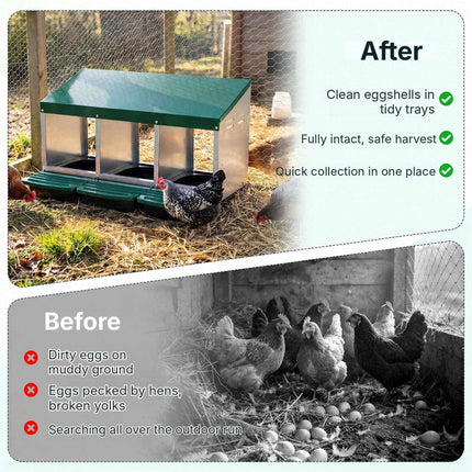 Metal Chicken Nesting Box with 3 Compartments and Egg Trays, Green, Roll Away
