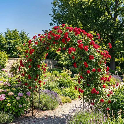 Metall-Gartenbogen mit Ständer für Kletterpflanzen