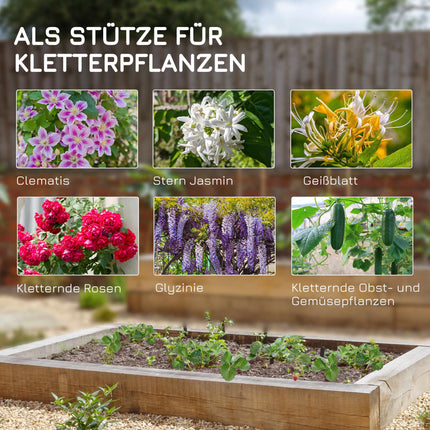 Metall-Gartenspalier-Set, Schwarz, 50x180 cm, 2er-Pack