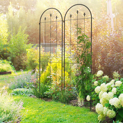 Metall-Gartenspalier-Set, Schwarz, 50x180 cm, 2er-Pack