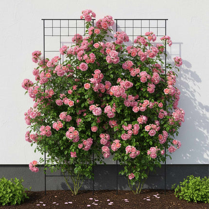 Metal Garden Trellis Set of 2 for Climbing Plants, 193 x 58 cm, Black