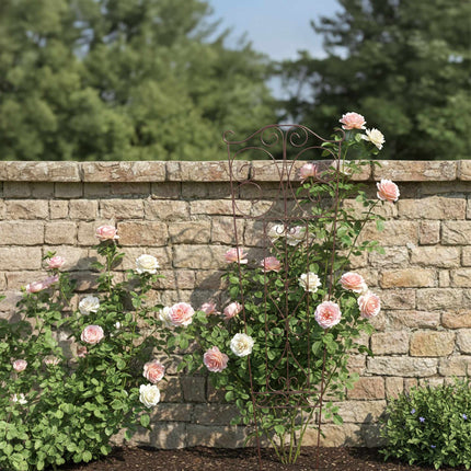 Metall-Gartenspalier für Kletterpflanzen, geschwungenes Design