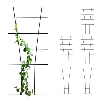 Metal Plant Trellis Set – Durable Climbing Supports
