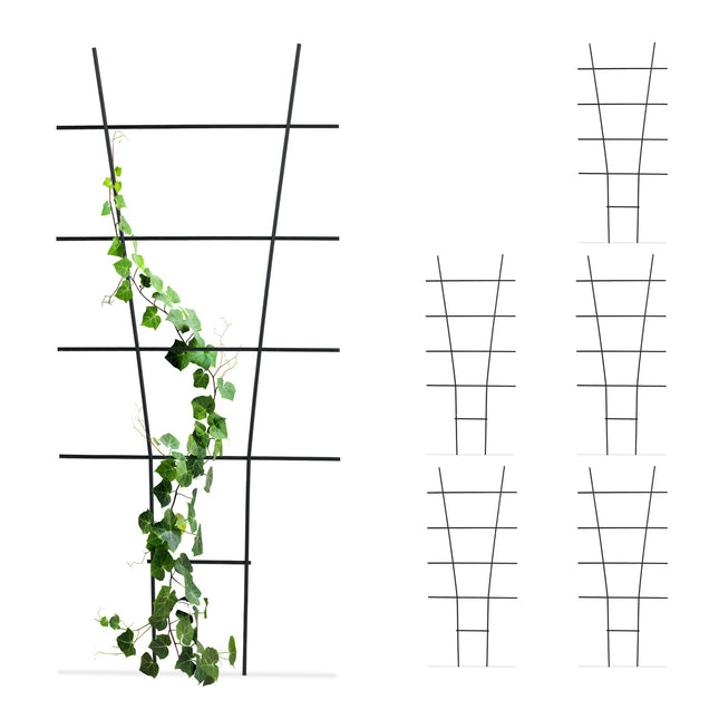 Metal Plant Trellis Set – Durable Climbing Supports