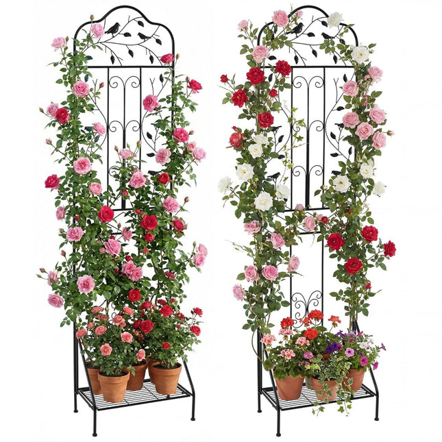 Metallspalier-Set, Schwarz, 2-teiliger Gartenzaun & Pflanzenständer