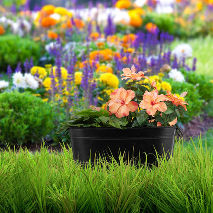 Metal flower box