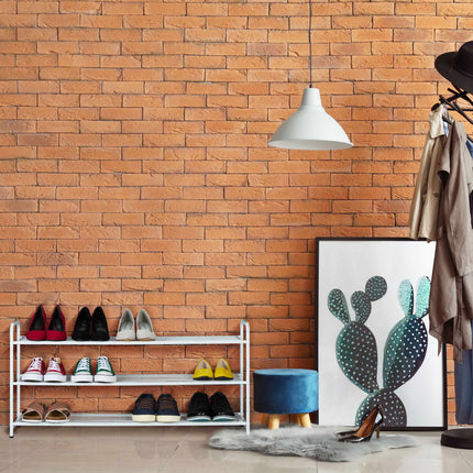 Étagère à chaussures en métal pour 12 paires de chaussures