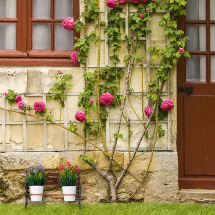 Mini-Blumenbank