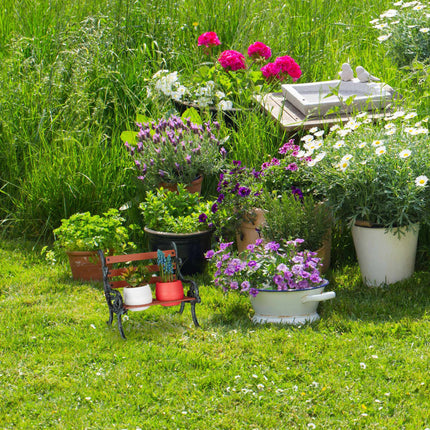Mini-Blumenbank