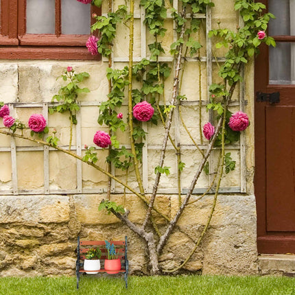 Mini-Blumenbank