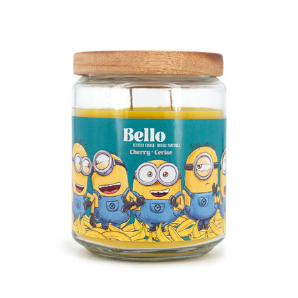 Minions Scented Candle, Fruity Aroma, 510g