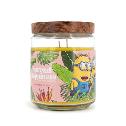Vonná svíčka Minions, ovocná vůně, 510g