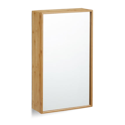 Mirror cabinet with door for bathroom