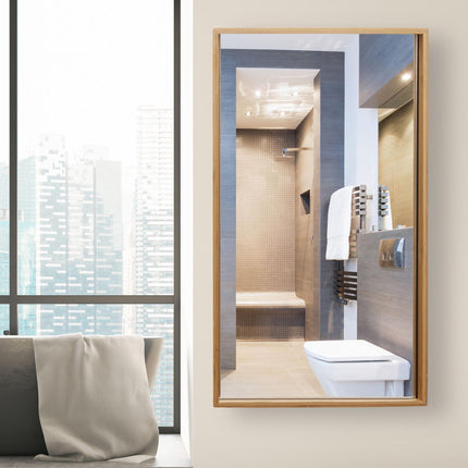 Mirror cabinet with door for bathroom