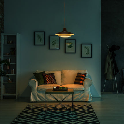 Modern Metal Hanging Lamp