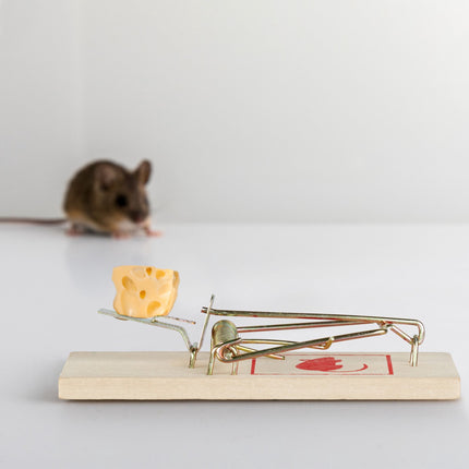 Mousetrap Wooden set of 25 pcs